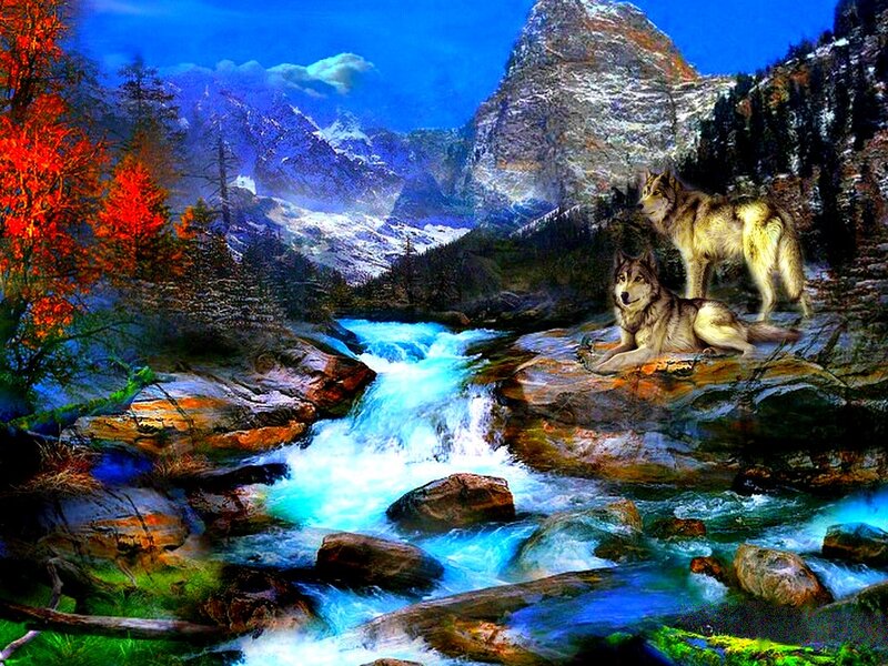 Two Wolves on Rocks — Blue