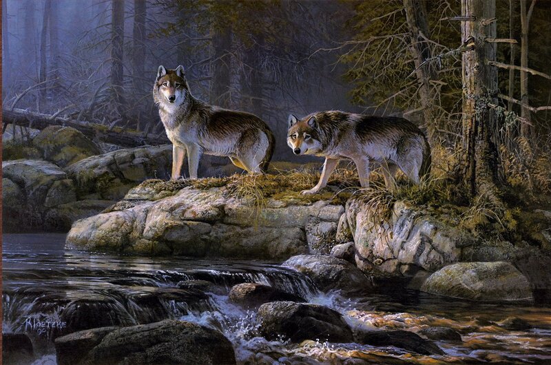 Two Wolves on Rocks — Brown, Dramatic, Night