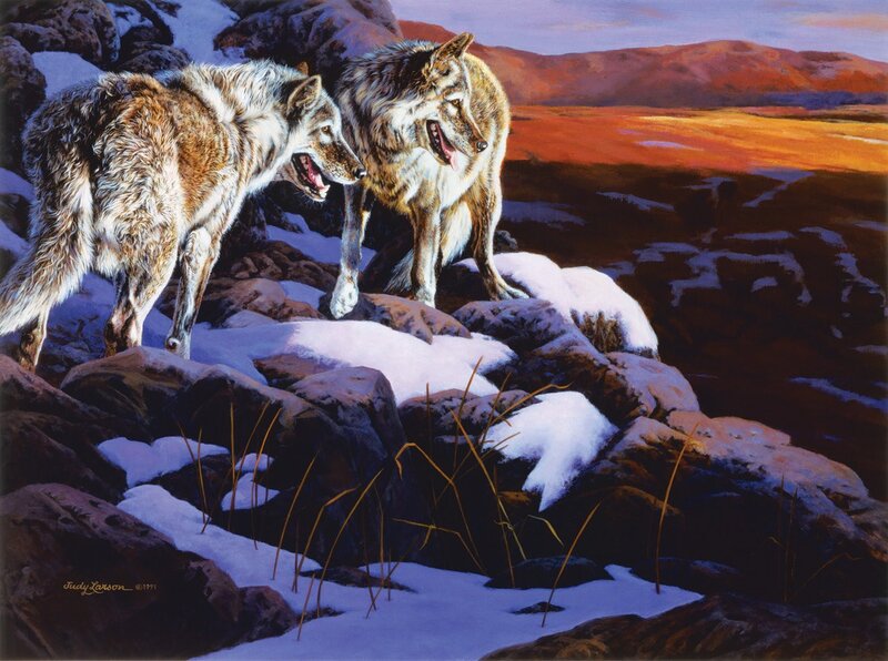 Two Wolves on Rocks — Brown, Dramatic, Sunset