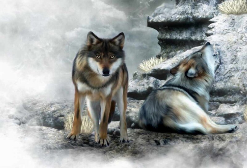 Two Wolves on Rocks — Gray, Dramatic, Digital Art, Fog
