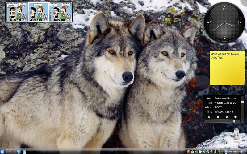 Two Wolves on Rocks — Gray