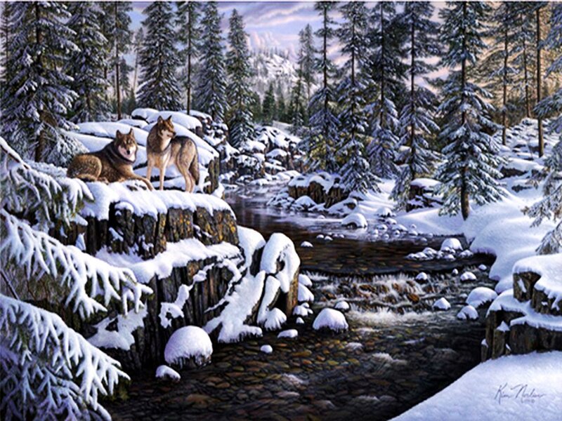 Two Wolves on Rocks — White