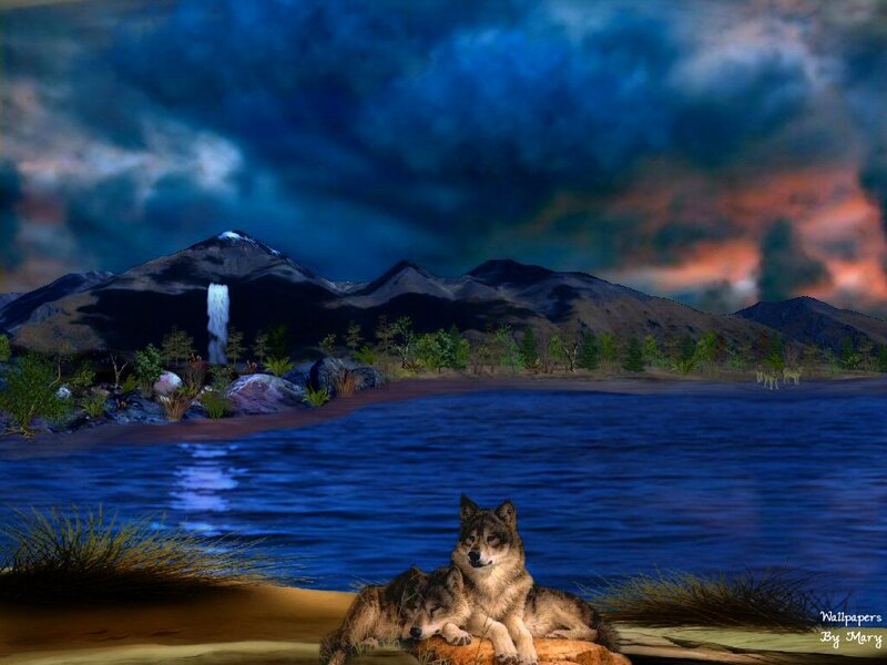 Two Wolves on Shore