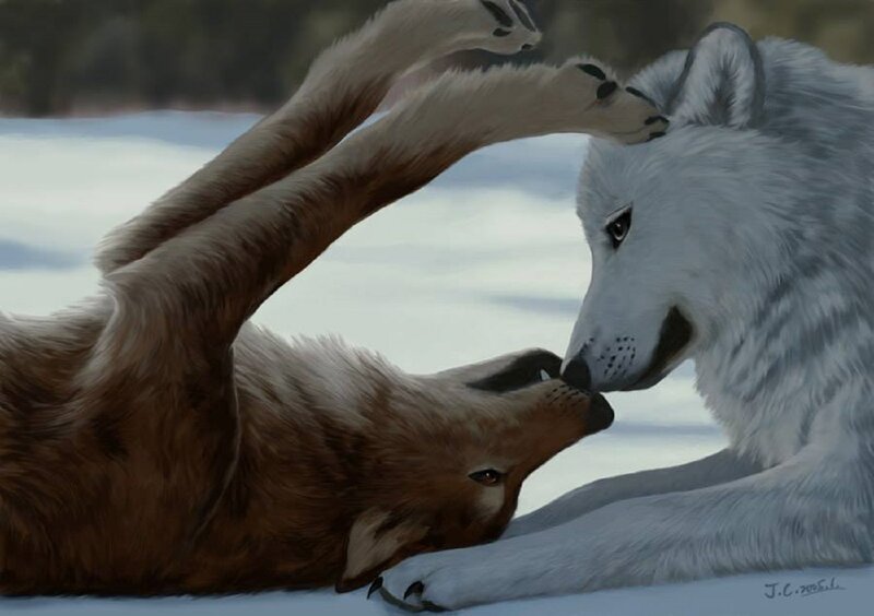Two Wolves Playing — White, Playful, Winter, Digital Art, Snow