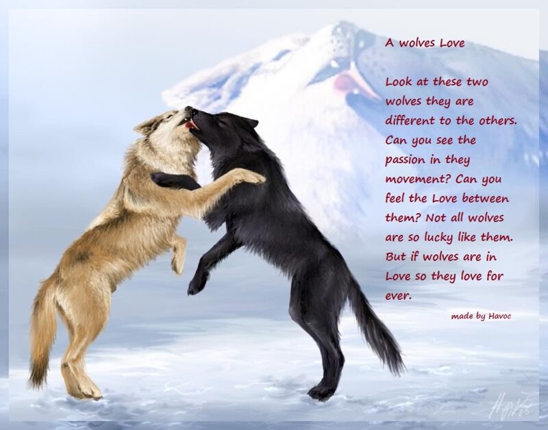 Two Wolves Playing — White, Playful, Winter, Digital Art