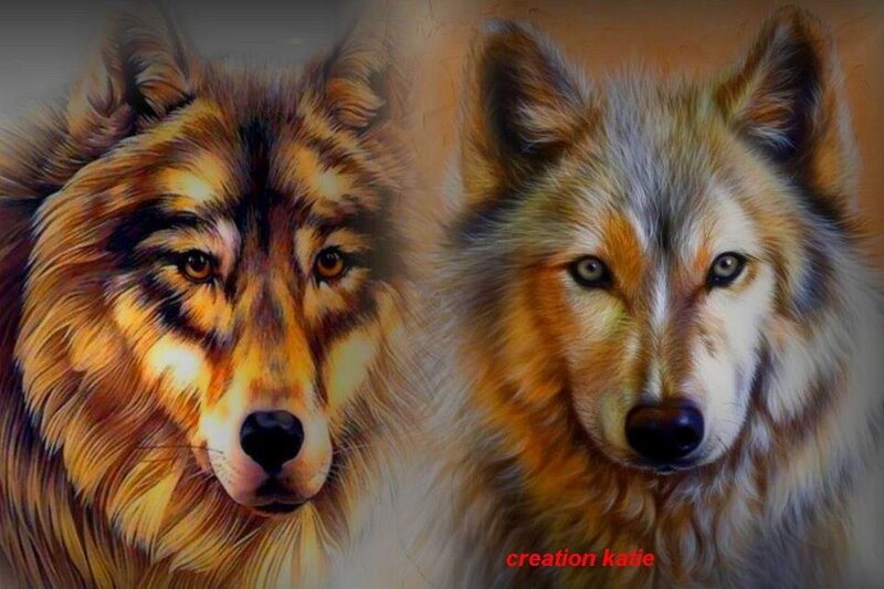 Two Wolves Portrait