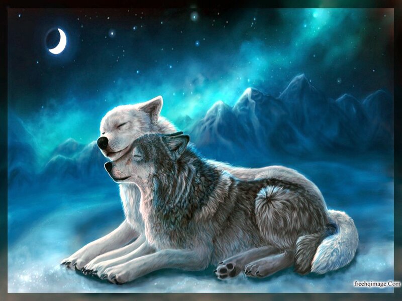 Two Wolves Resting — Blue, Serene