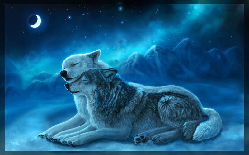 Two Wolves Resting — Blue
