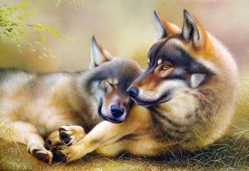 Two Wolves Resting — Brown, Peaceful, Afternoon, Painting