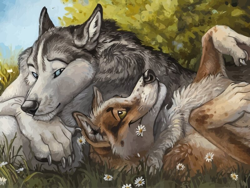 Two Wolves Resting — Gray, Peaceful, Afternoon