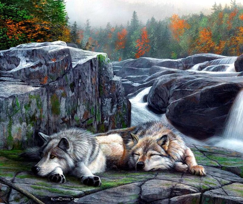 Two Wolves Resting — Gray, Serene