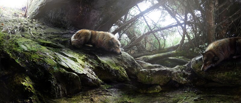 Two Wolves Resting — Green