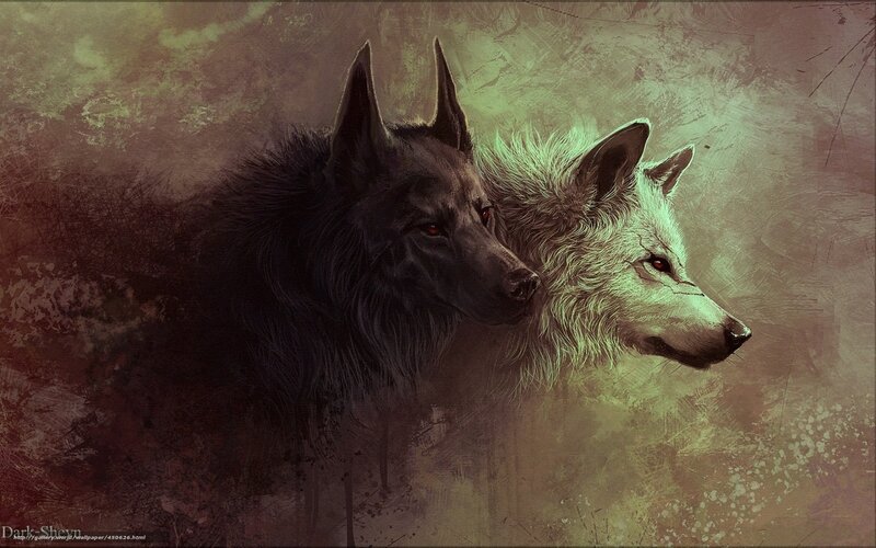 Two Wolves Side by Side — Black, Dramatic, Digital Art, Dark Wolf