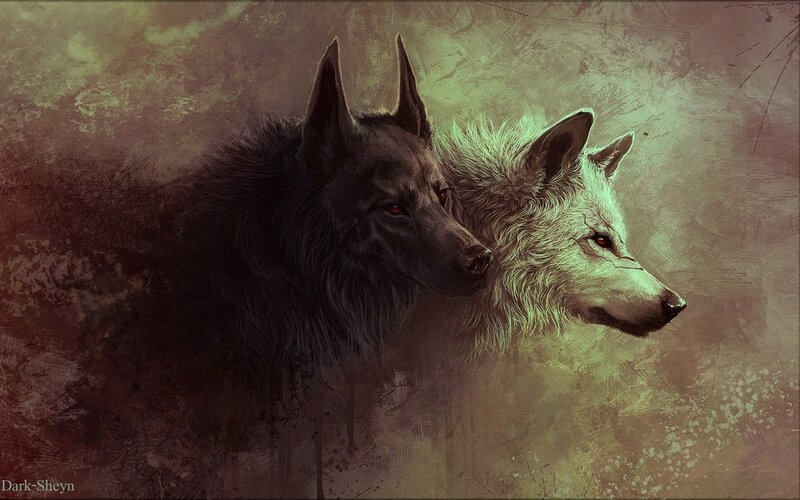 Two Wolves Side by Side — Black, Dramatic, Digital Art, Wolf, Dark Wolf