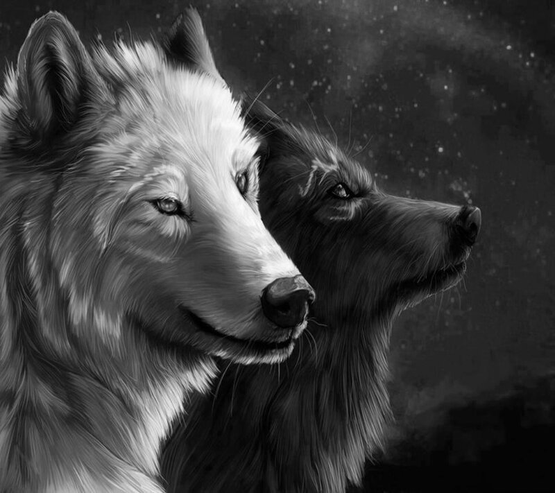 Two Wolves Side by Side — Black, Dramatic, Night, Digital Art