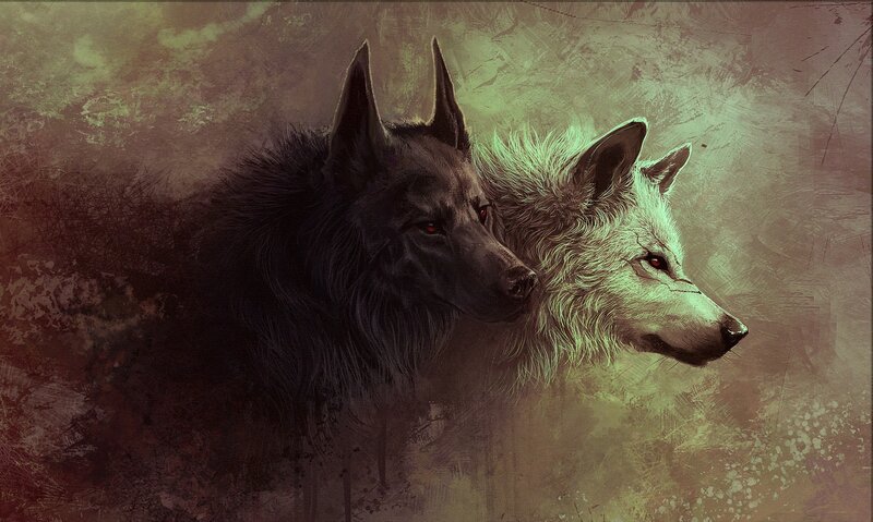 Two Wolves Side by Side — Black, Dramatic