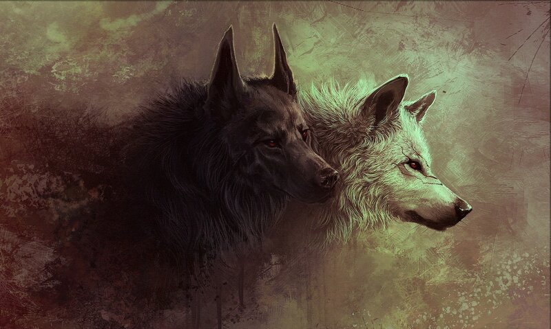 Two Wolves Side by Side — Brown