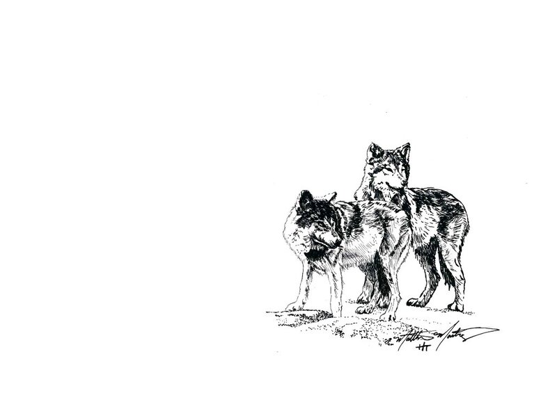 Two Wolves Standing — Black, Calm