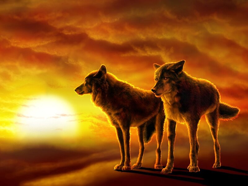 Two Wolves Standing — Orange, Dramatic