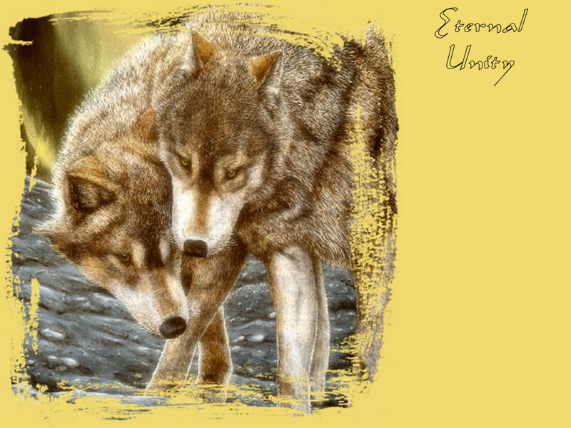 Two Wolves Standing — Yellow