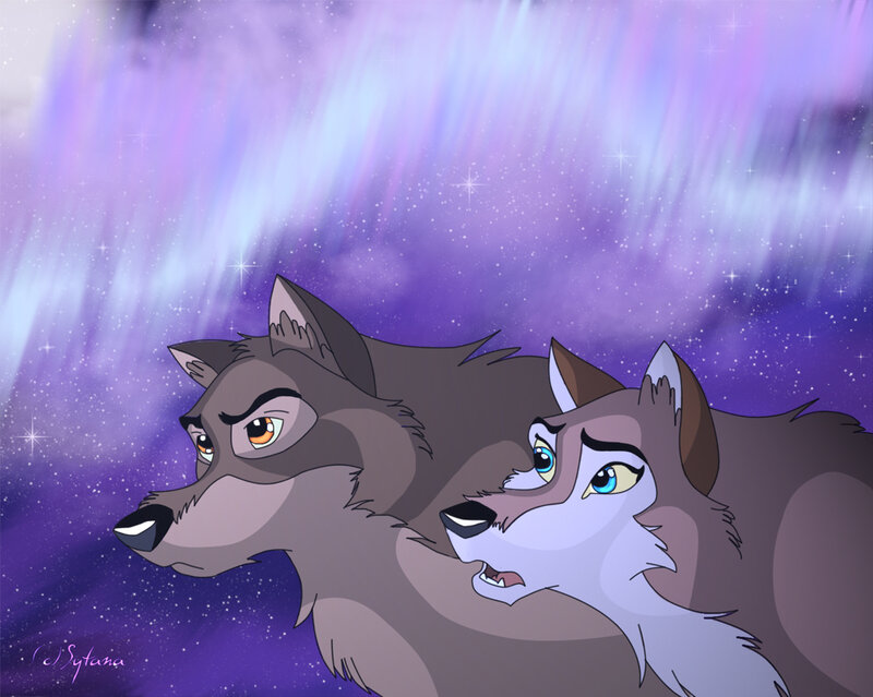Two Wolves under Aurora