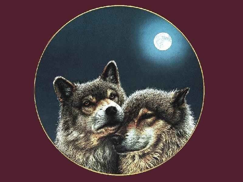 two wolves under the moon