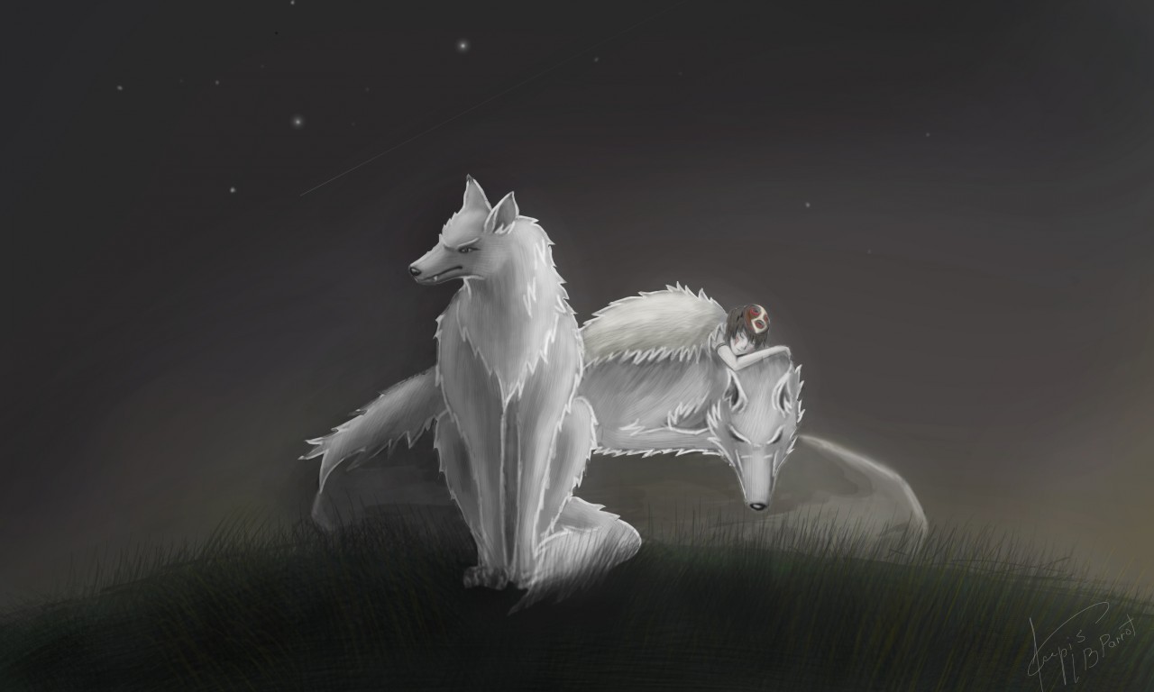 Two wolves under the stars
