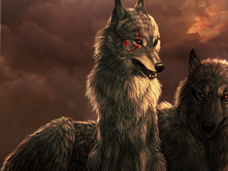 Two Wolves with Red Markings — Brown