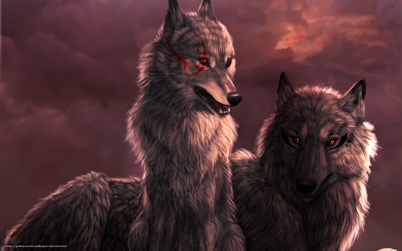 two wolves with red markings