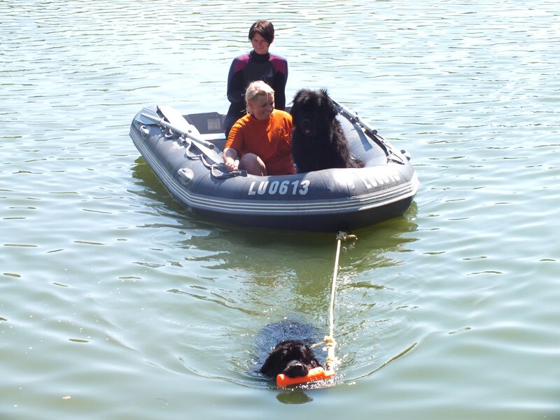 Two Women and Two Dogs