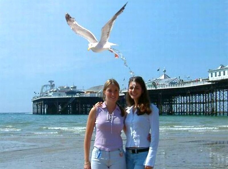 Two women at the beach with a seagull