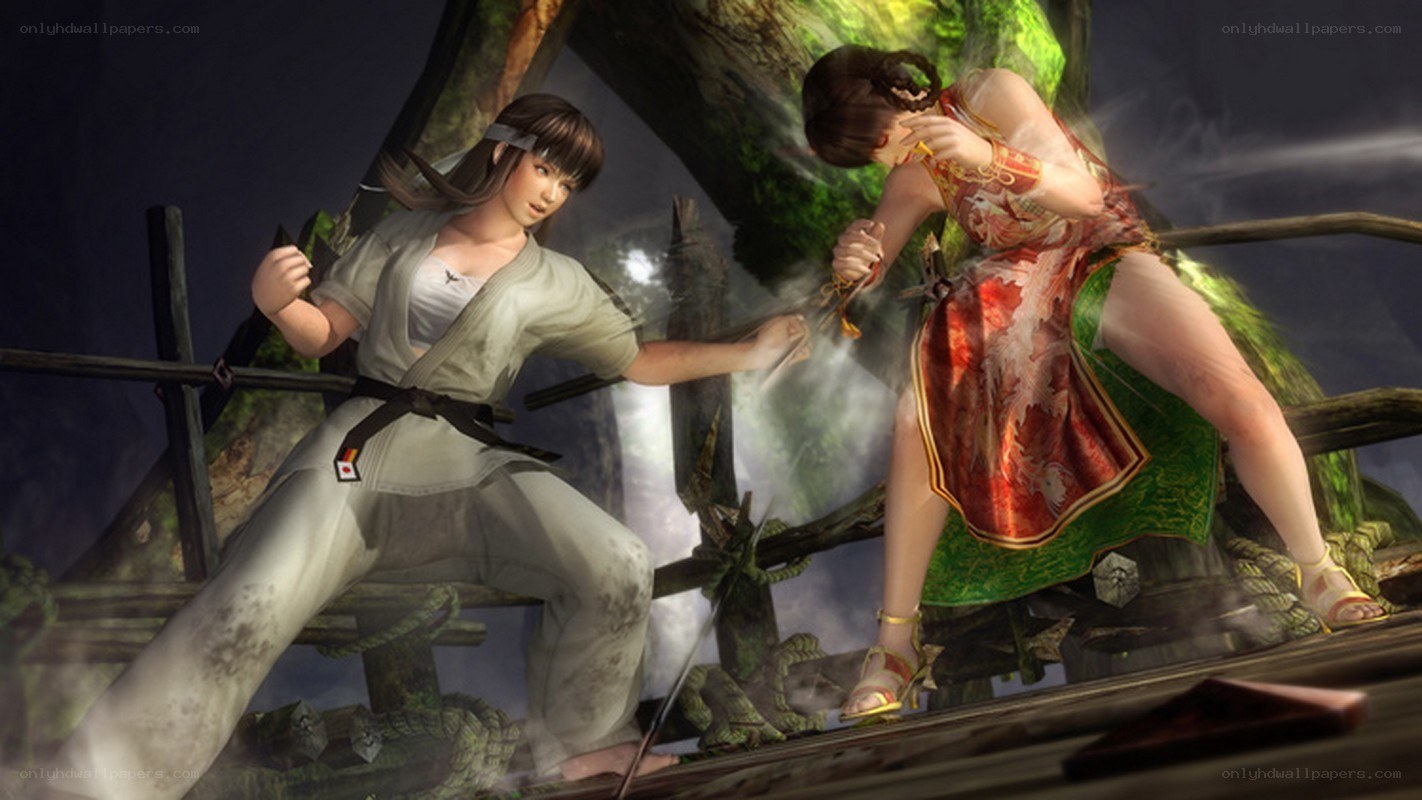 Two women fighting on a bridge