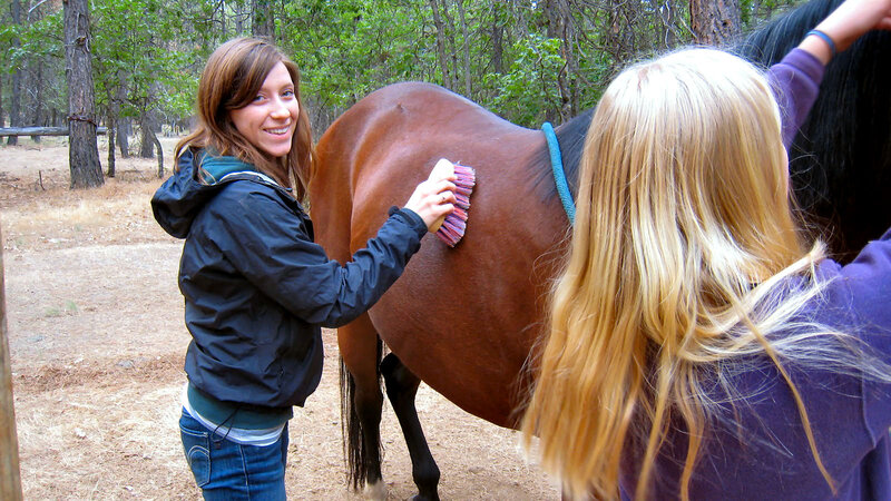 Two Women Grooming a Horse
