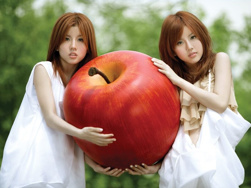 Two women holding a giant apple