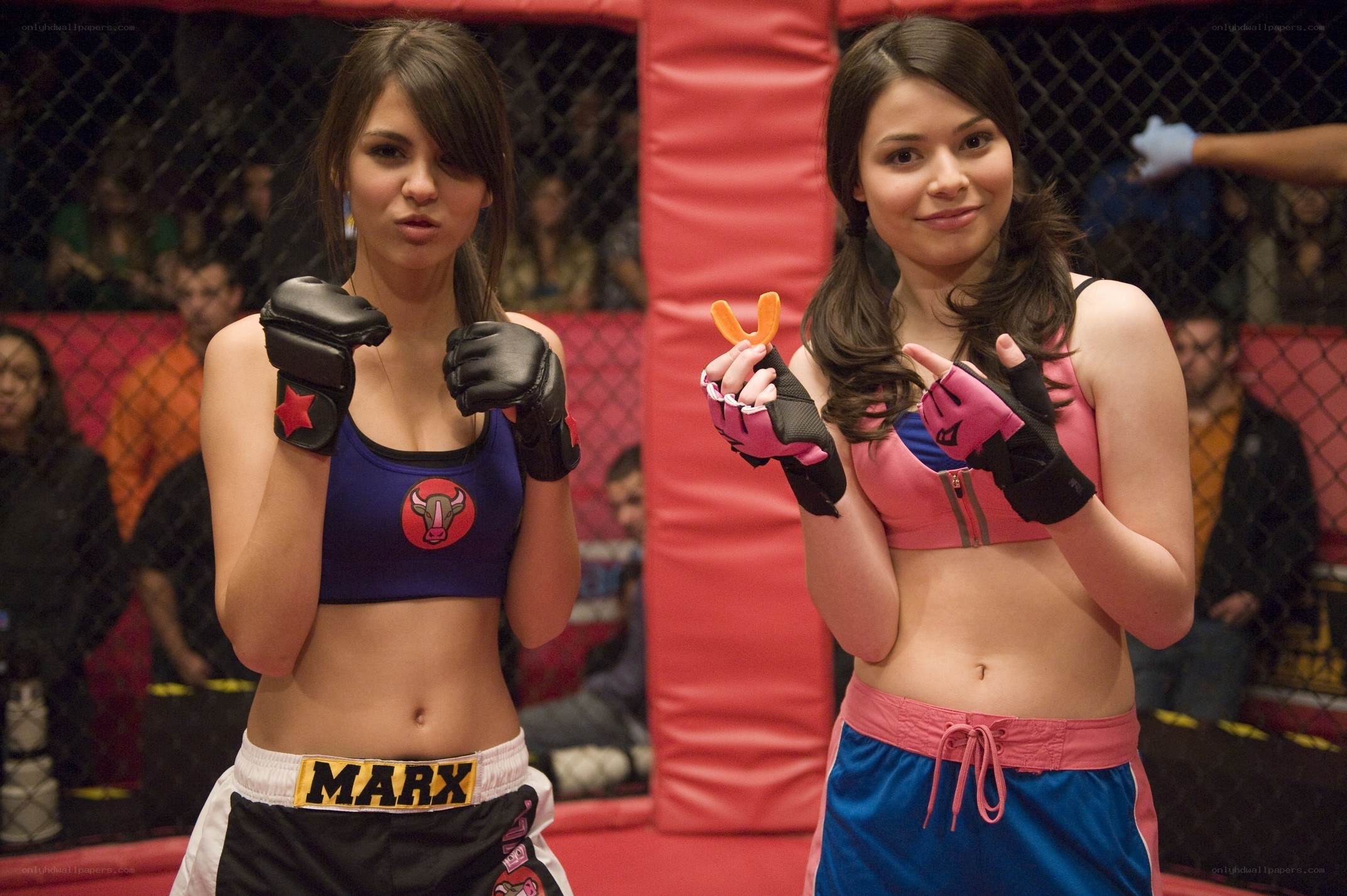 Two women in a fighting ring