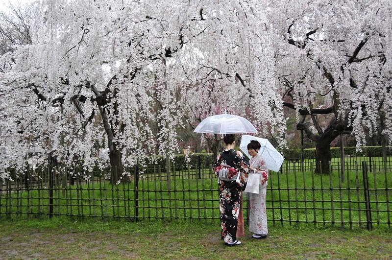 Two Women in Kimonos — White
