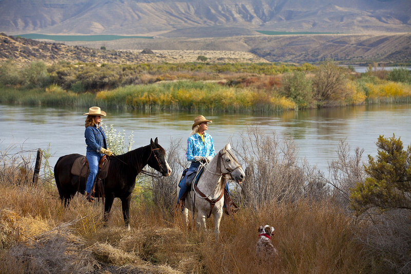 Two Women on Horses — Brown, Serene