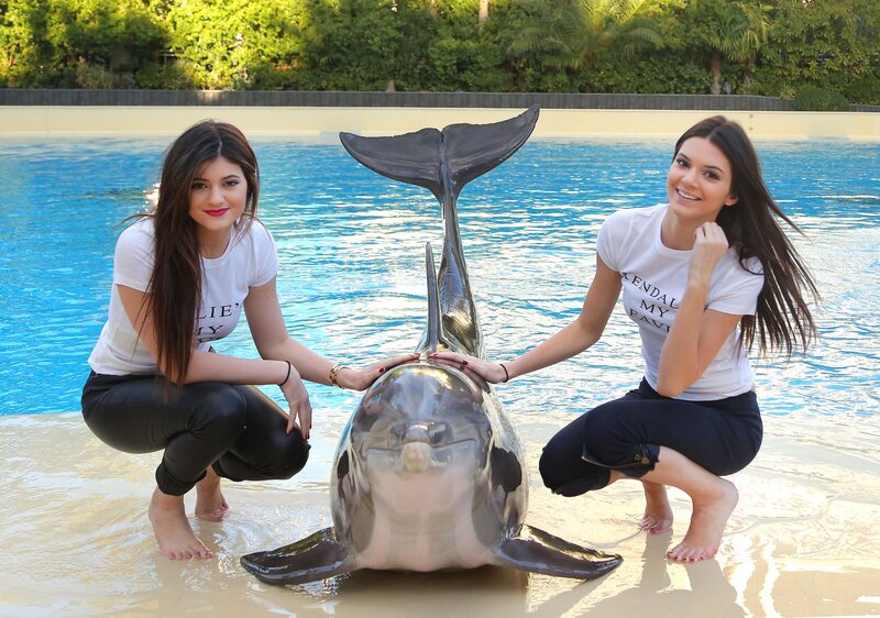 Two women with a dolphin