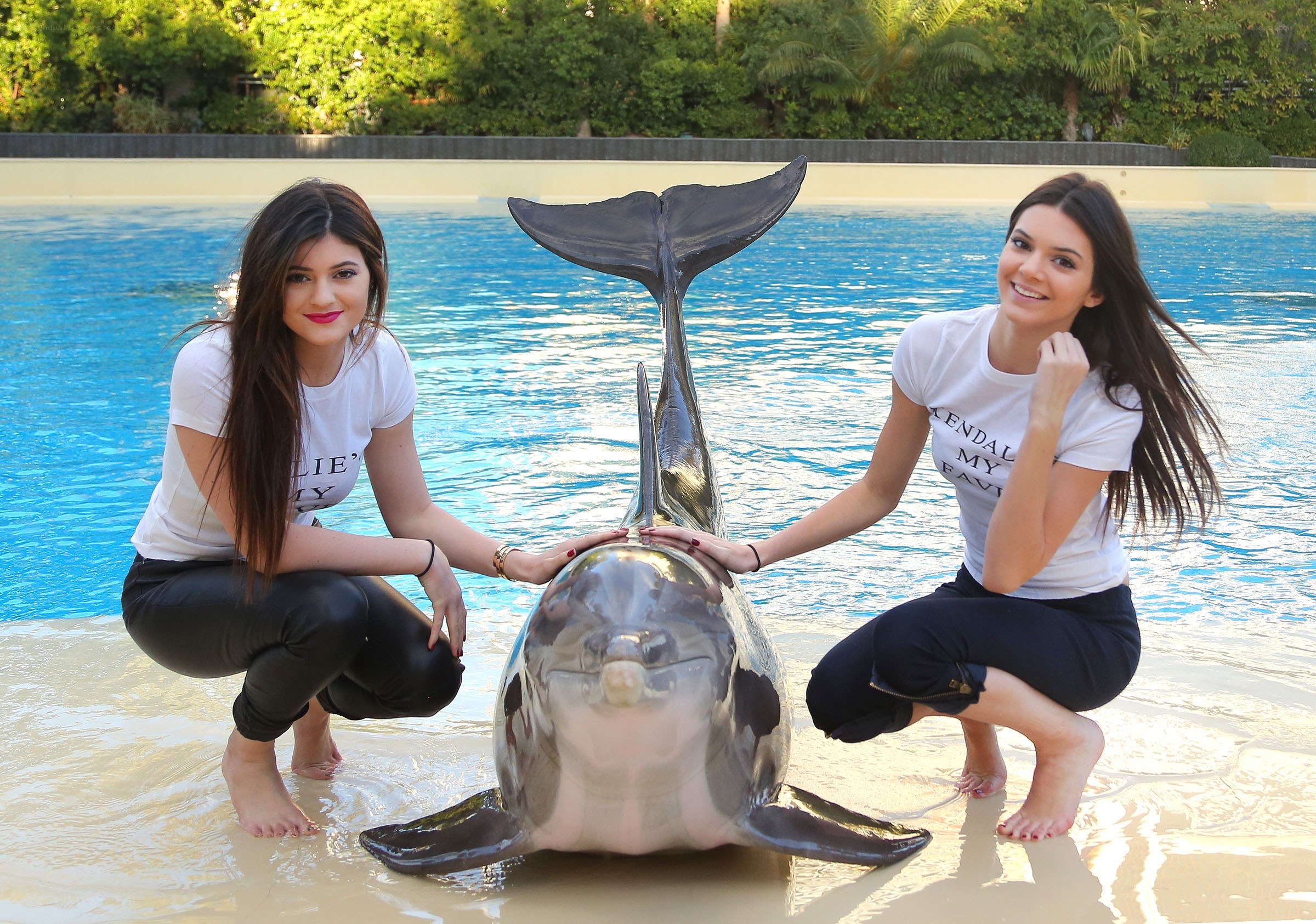 Two women with a dolphin