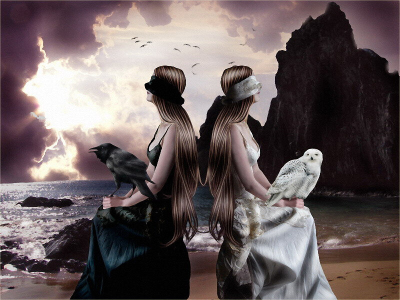 Two Women with Birds — Gray