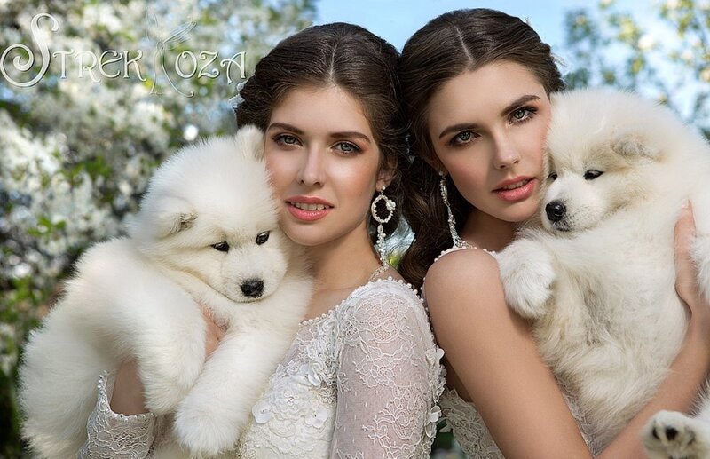 Two Women with Puppies