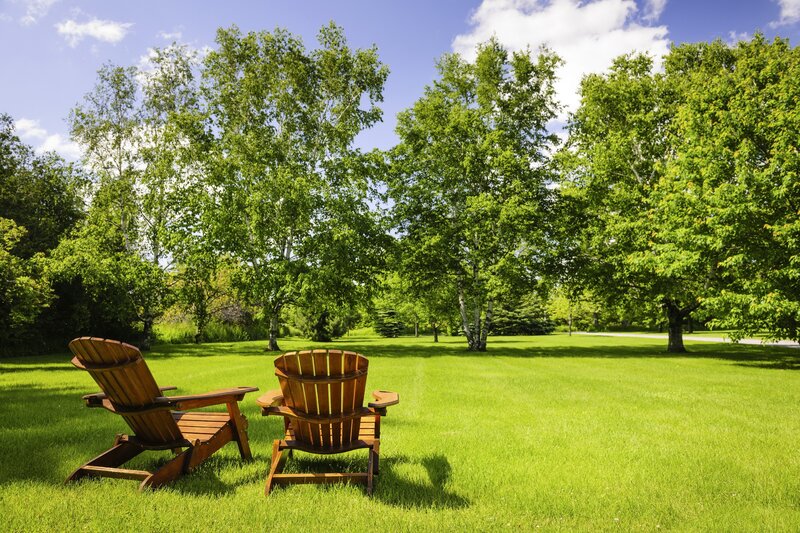 Two Wooden Chairs — Green, Serene, Afternoon, Photograph