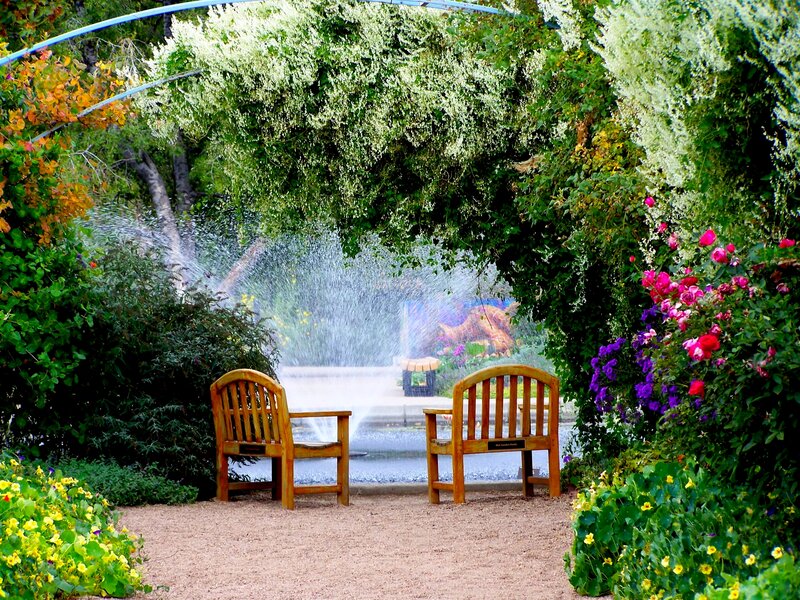 Two Wooden Chairs — Green, Serene, Afternoon