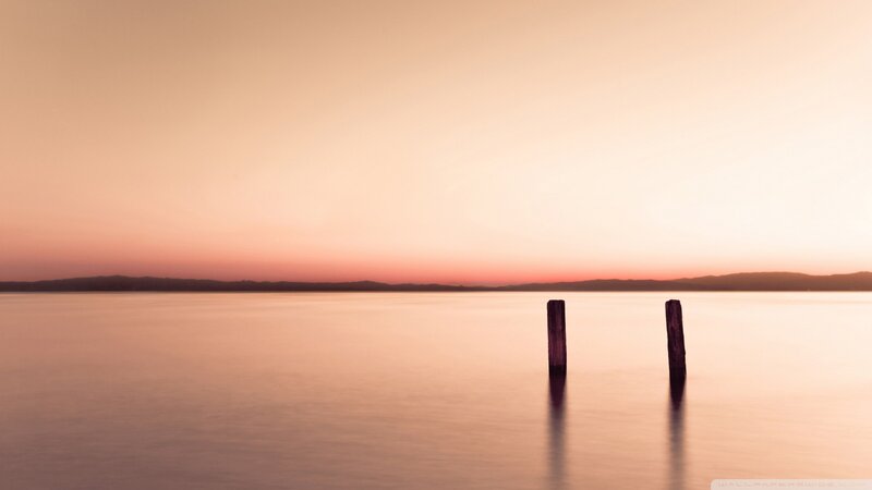 Two Wooden Posts in Water