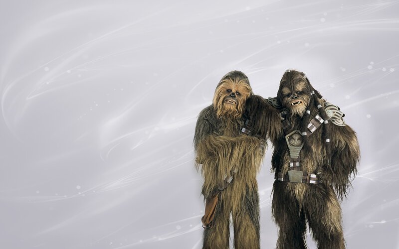 Two Wookiee Characters