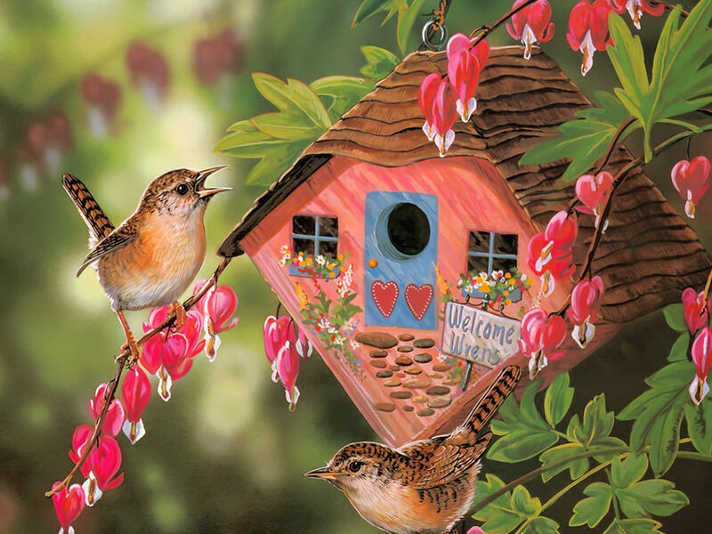 Two Wrens and a Birdhouse — Pink