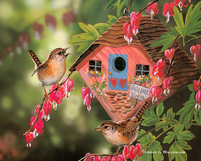 Two Wrens and a Birdhouse