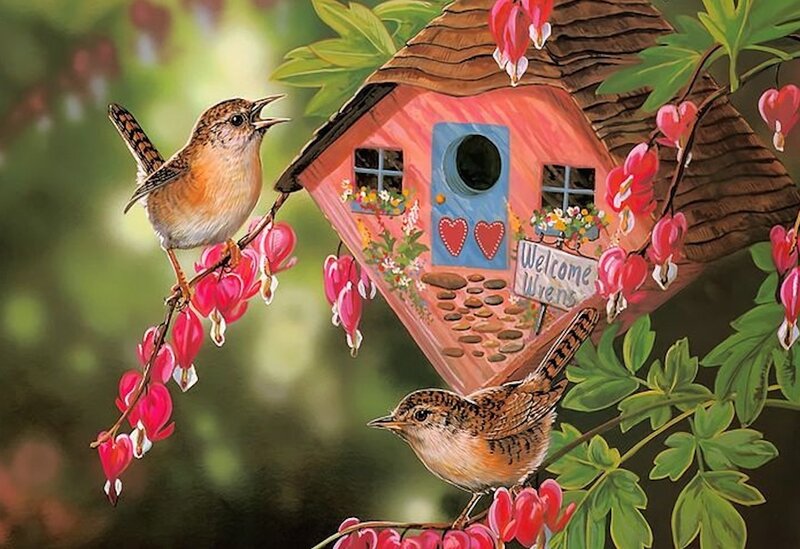 Two Wrens on Branch