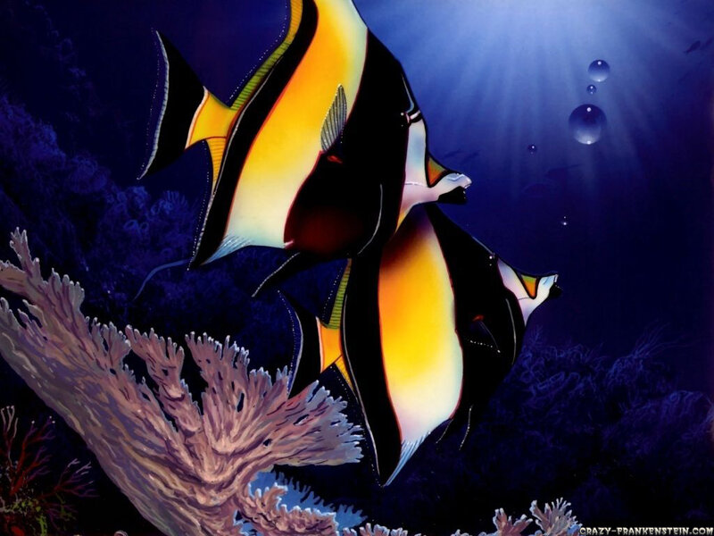 Two Yellow-and-black Fish