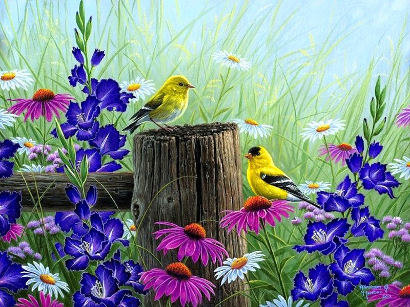 Two Yellow Birds in Flowers